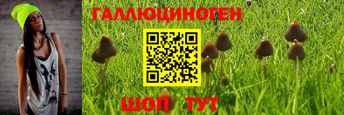 Мелеуз  Псилоцибиновые грибы мухоморы  Вход с VPN 